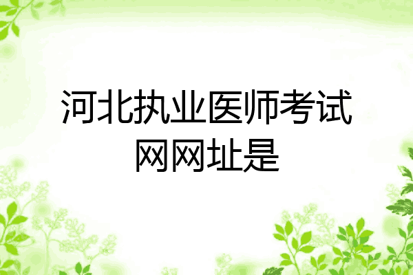河北执业医师考试网网址是