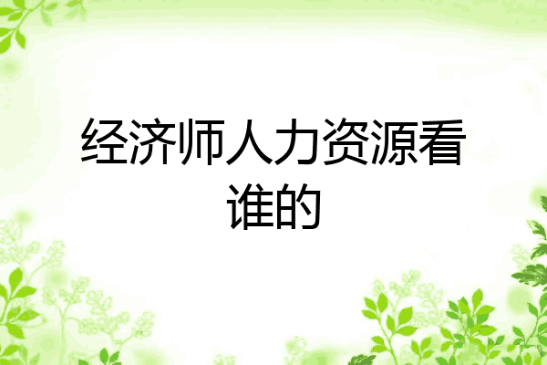 经济师人力资源看谁的