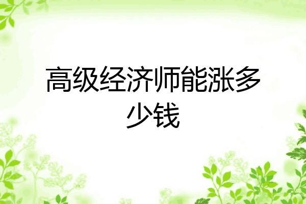 高级经济师能涨多少钱