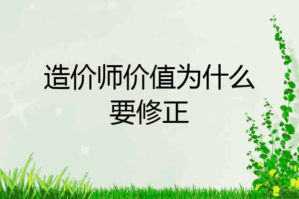 造价师价值为什么要修正