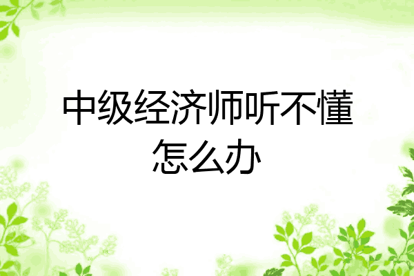 中级经济师听不懂怎么办