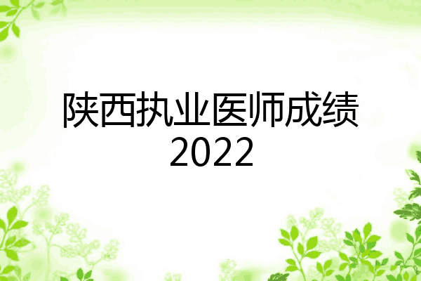 陕西执业医师成绩2022