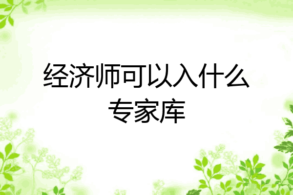 经济师可以入什么专家库