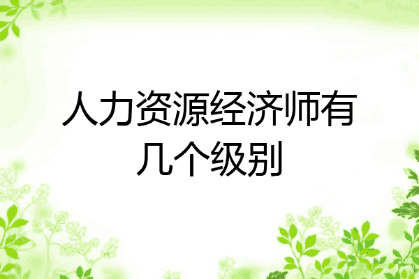 人力资源经济师有几个级别