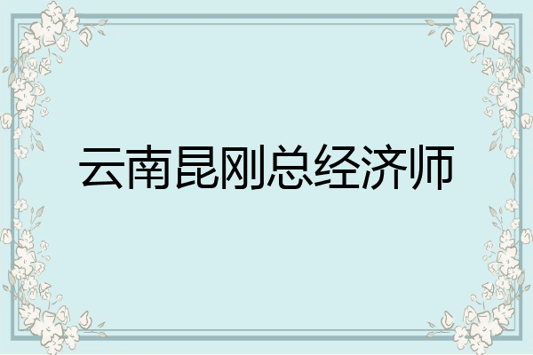 云南昆刚总经济师