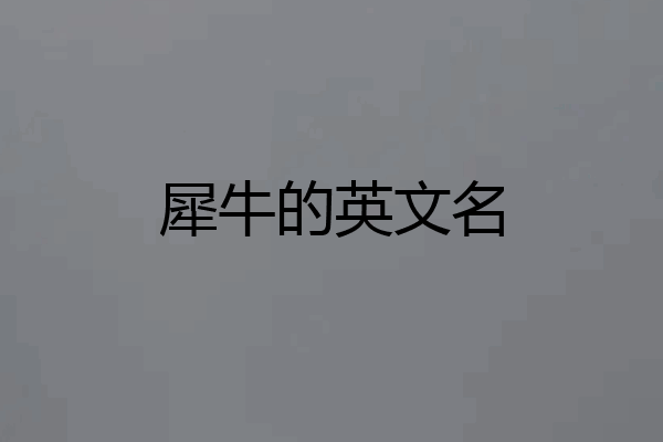 犀牛的英文名