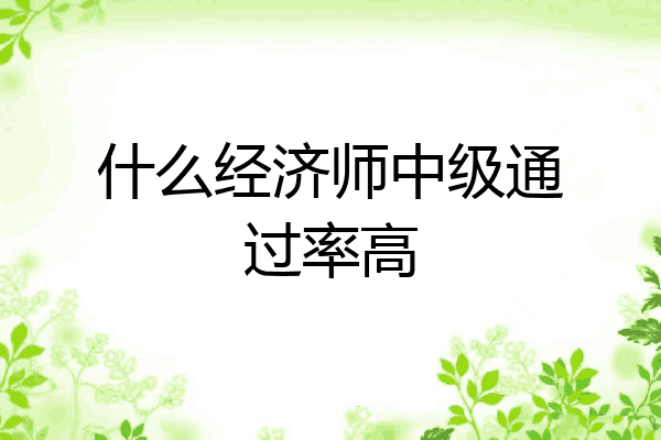 什么经济师中级通过率高