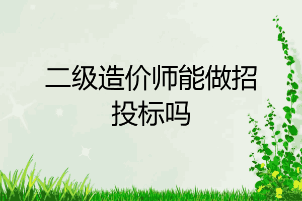 二级造价师能做招投标吗