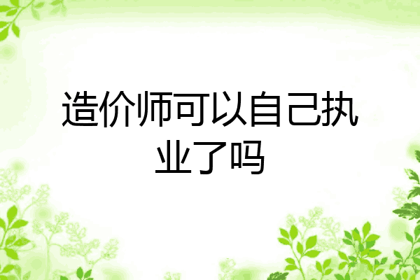 造价师可以自己执业了吗