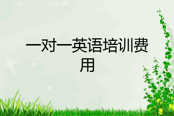 一对一英语培训费用