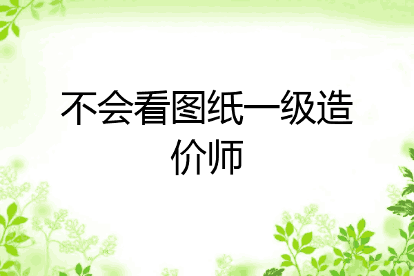 不会看图纸一级造价师