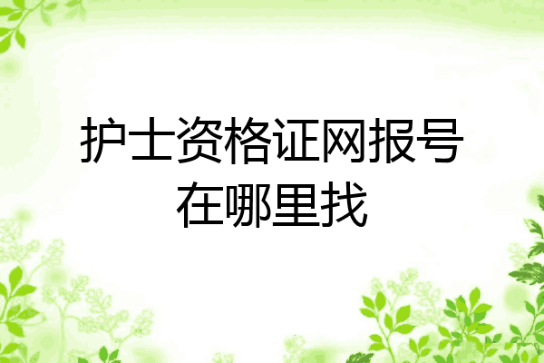 护士资格证网报号在哪里找