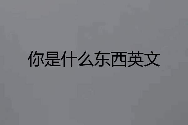 你是什么东西英文