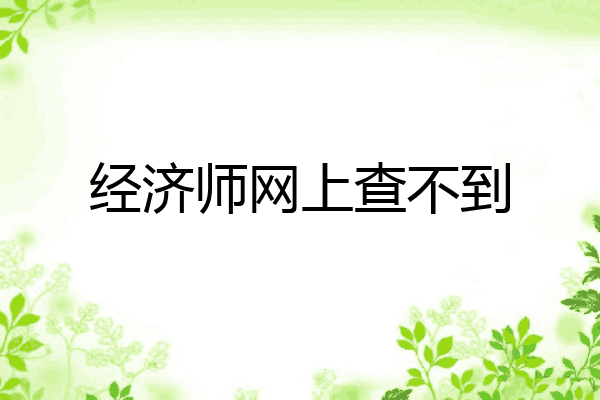经济师网上查不到