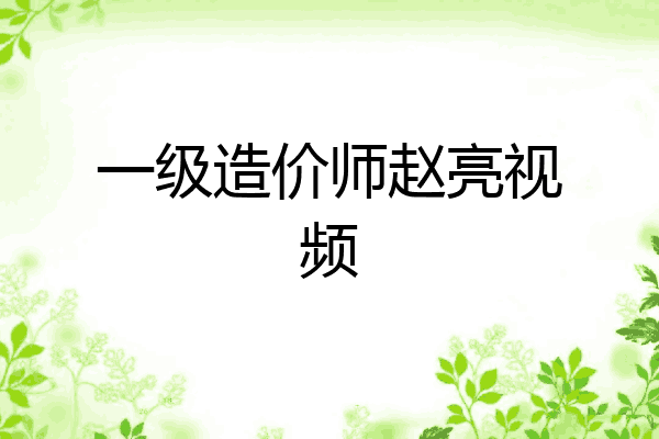 一级造价师赵亮视频