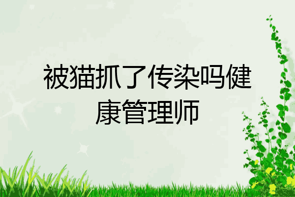 被猫抓了传染吗健康管理师