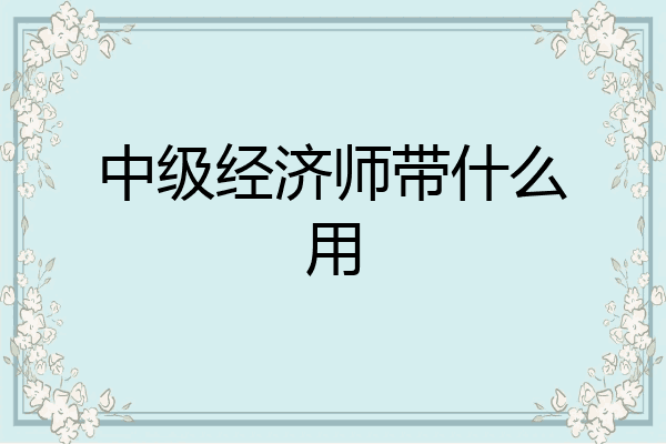 中级经济师带什么用