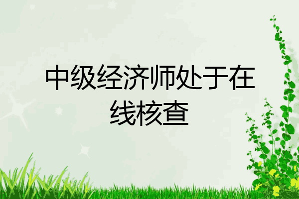 中级经济师处于在线核查