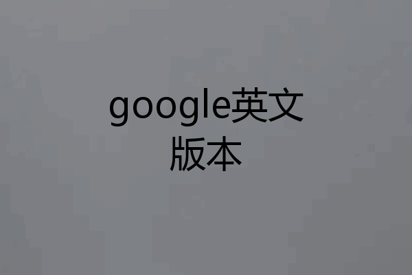google英文版本