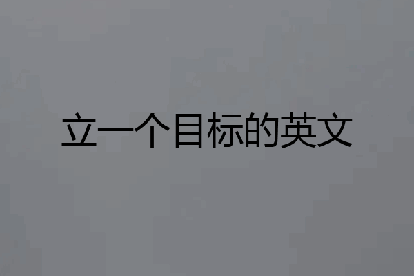立一个目标的英文