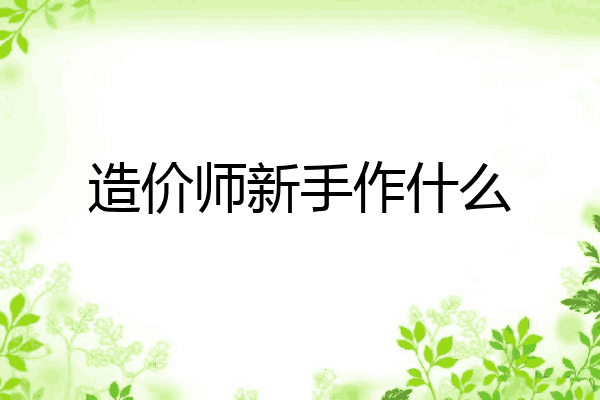 造价师新手作什么