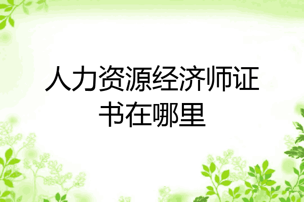 人力资源经济师证书在哪里