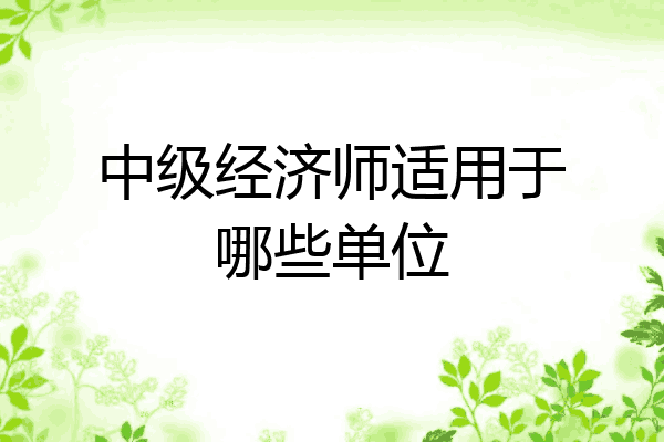 中级经济师适用于哪些单位