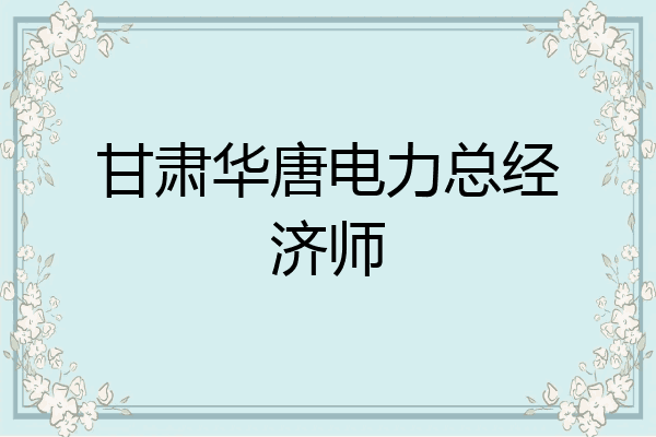 甘肃华唐电力总经济师