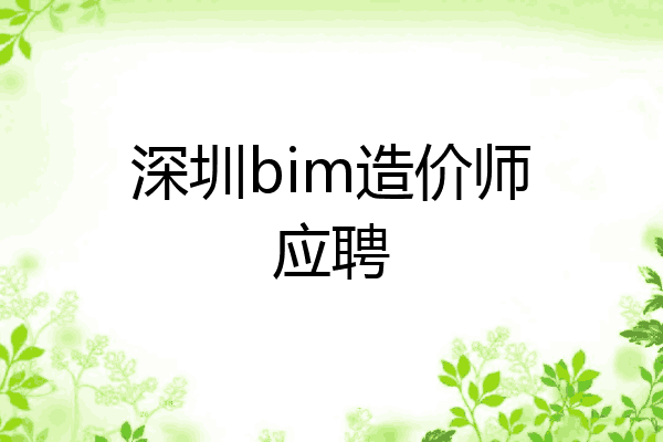 深圳bim造价师应聘