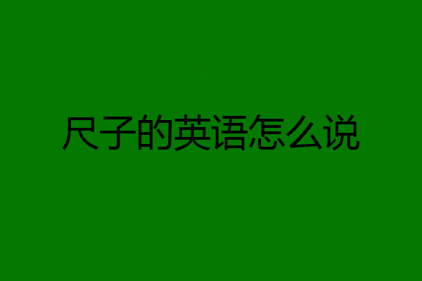 尺子的英语怎么说
