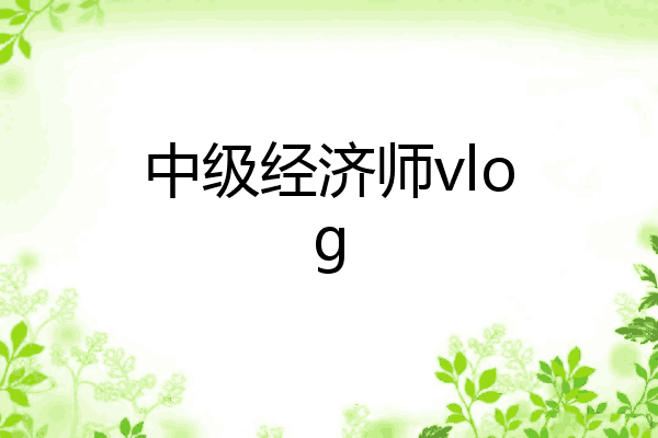 中级经济师vlog