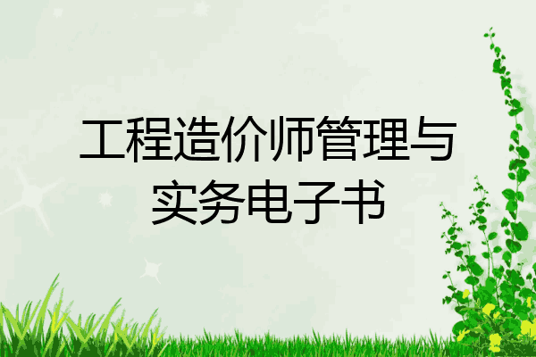 工程造价师管理与实务电子书