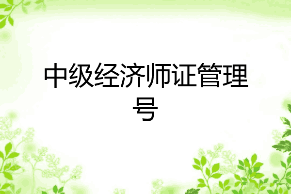 中级经济师证管理号