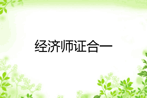 经济师证合一