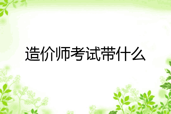造价师考试带什么