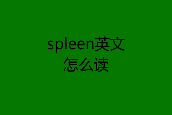 spleen英文怎么读