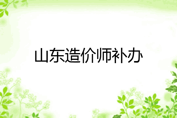 山东造价师补办