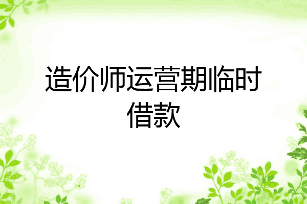 造价师运营期临时借款