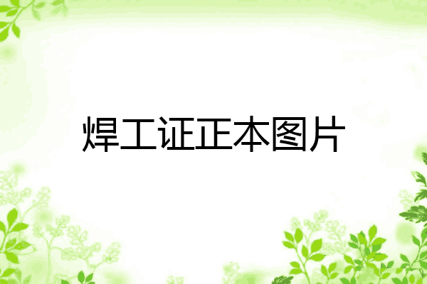 焊工证正本图片