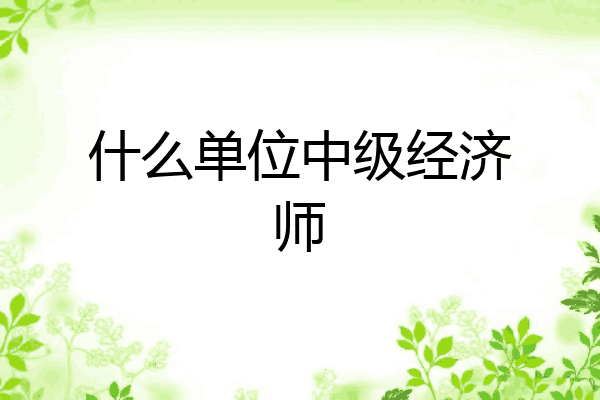 什么单位中级经济师