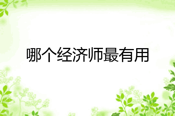 哪个经济师最有用