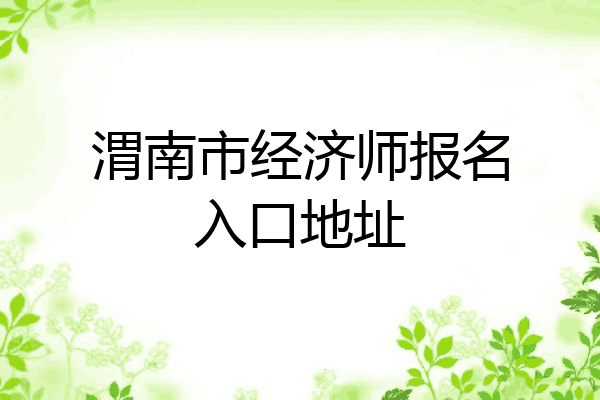 渭南市经济师报名入口地址
