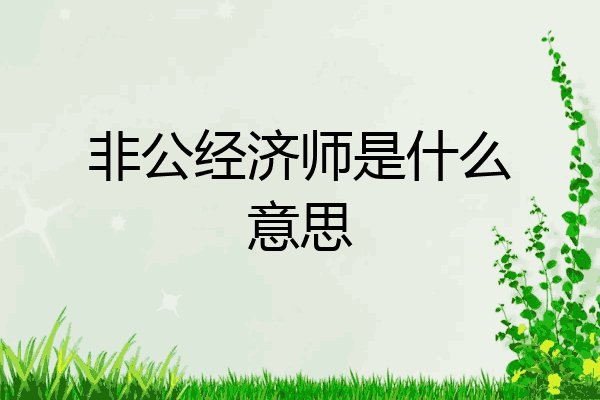 非公经济师是什么意思