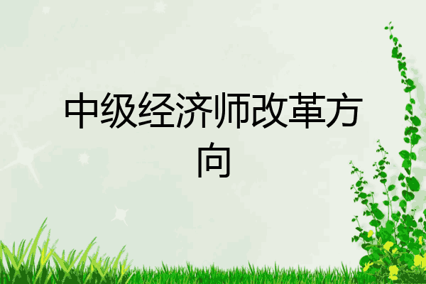 中级经济师改革方向