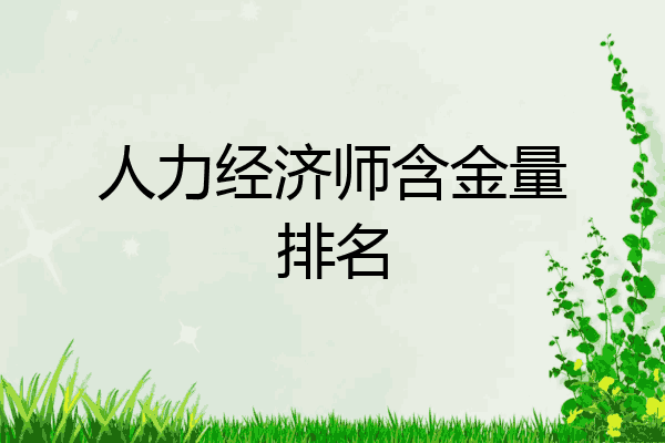 人力经济师含金量排名