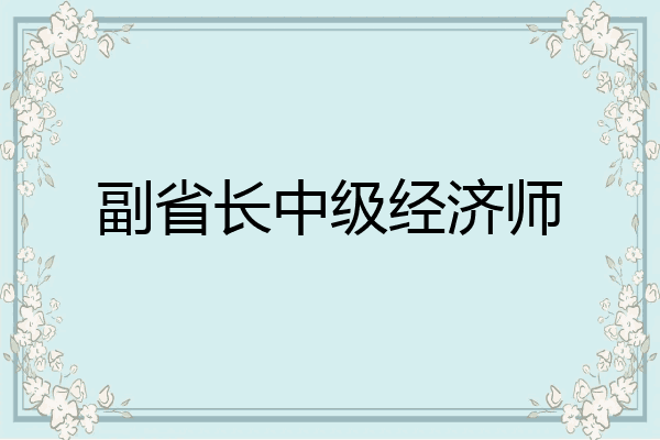 副省长中级经济师