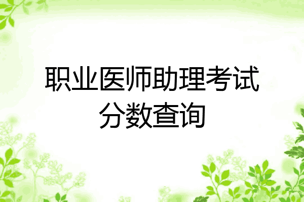 职业医师助理考试分数查询