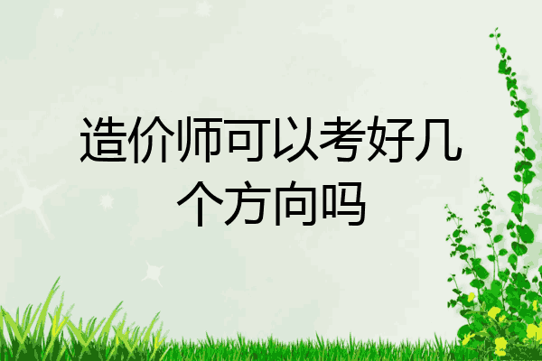 造价师可以考好几个方向吗