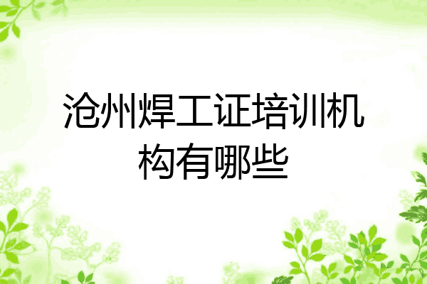 沧州焊工证培训机构有哪些