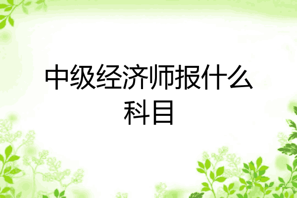 中级经济师报什么科目